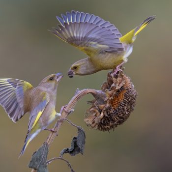 Photo Competition Les Concours