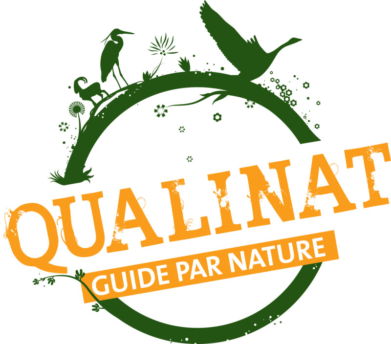 Qualinat_logo_cmjn