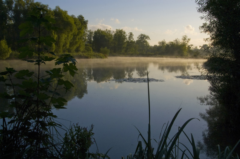 Agrandir l'image Sortie naturaliste et musicale au Parc de la Bouvaque (image 4)