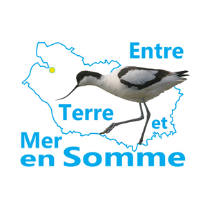 Entre Terre et Mer en Somme