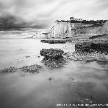 2EME PRIX - 9968-le_bois_de_cise