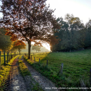 3EME PRIX - 9999-soleil_d_automne_tombant