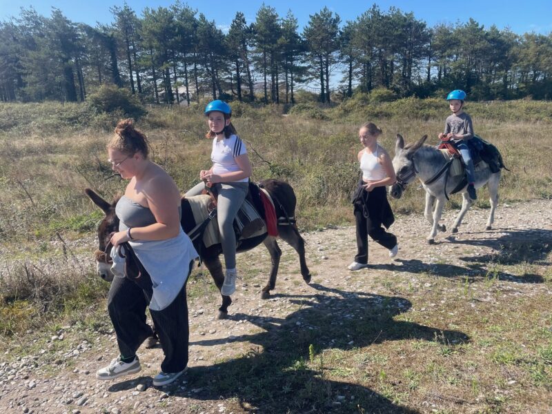 Agrandir l'image Rando'Ânes à la Pointe du Hourdel (image 2)