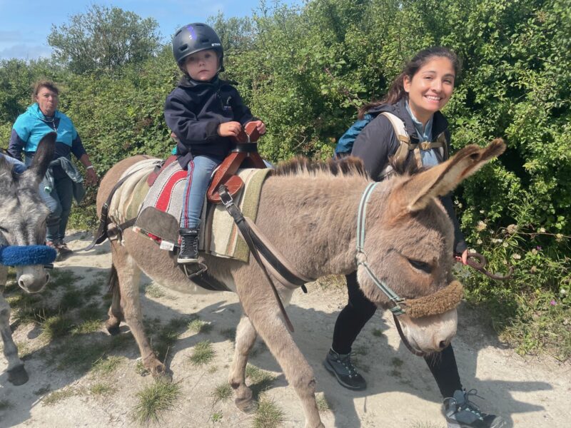 Agrandir l'image Rando'Ânes à la Pointe du Hourdel (image 4)