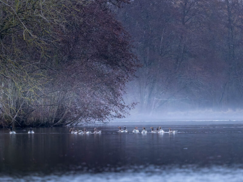 Agrandir l'image Photographier les étangs qui s'endorment (image 2)