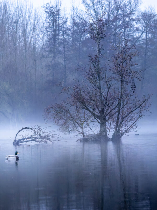 Agrandir l'image Photographier les étangs qui s'endorment (image 3)