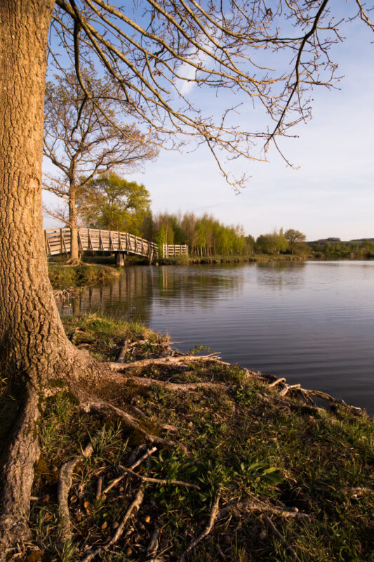 Agrandir l'image Photographier les étangs qui s'endorment (image 8)