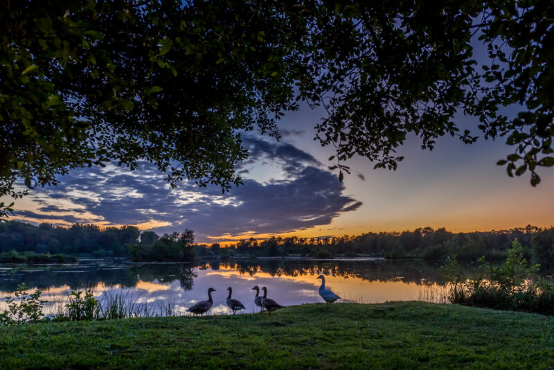 Agrandir l'image Photographier les étangs qui s'endorment (image 5)