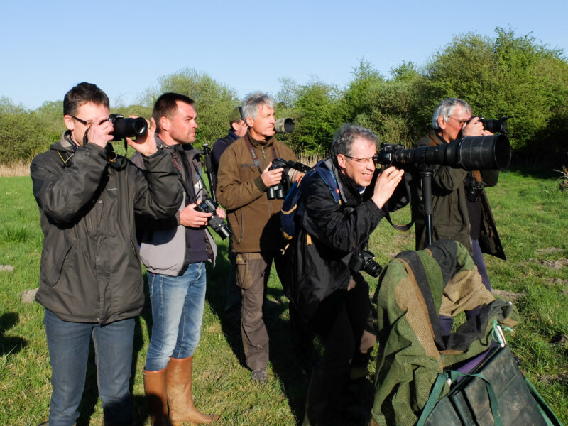 Agrandir l'image Photographier les étangs qui s'endorment (image 6)