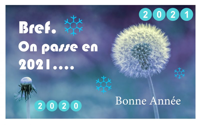 Festival de l'Oiseau et de la Nature