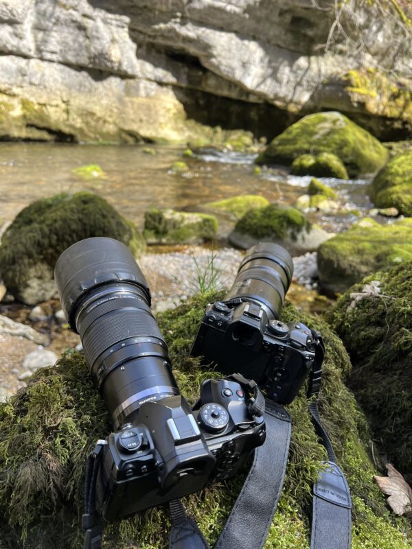 Agrandir l'image Stage OM System - observer et saisir les oiseaux en vol (image 2)