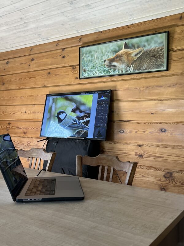 Agrandir l'image Stage OM System - observer et saisir les oiseaux en vol (image 3)