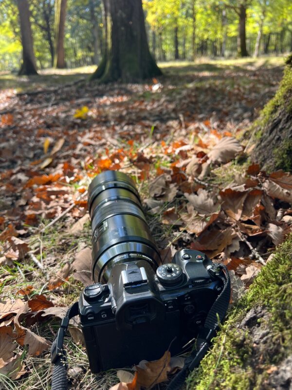 Agrandir l'image Stage OM System - observer et saisir les oiseaux en vol (image 4)