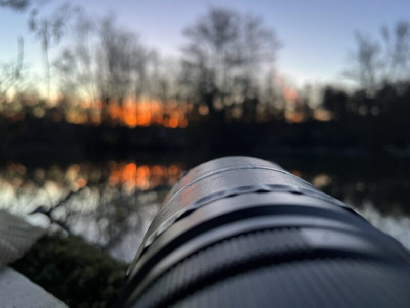 Agrandir l'image Stage OM System - observer et saisir les oiseaux en vol (image 5)