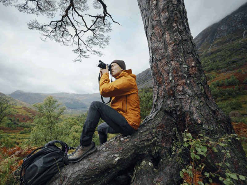 Agrandir l'image Stage OM System - observer et saisir les oiseaux en vol (image 9)