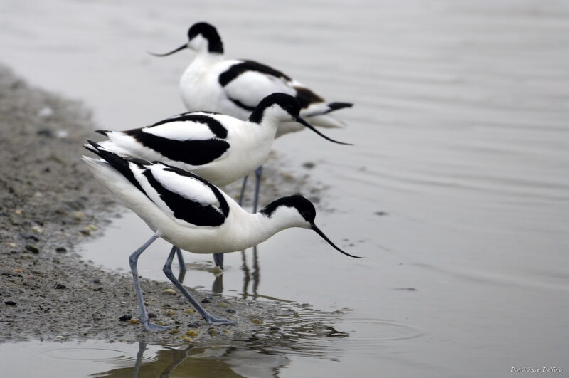Agrandir l'image Avant-première : Master Class Photo de 3 jours (image 2)