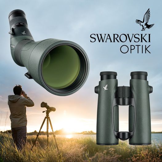 SWAROVSKI Optik - Stand Pro