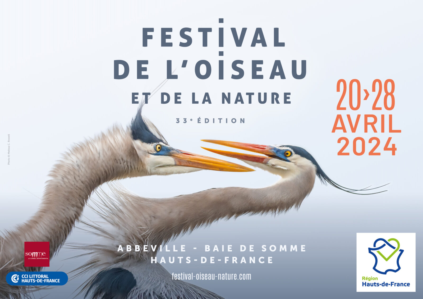 Affiche Festival de l'oiseau 2024