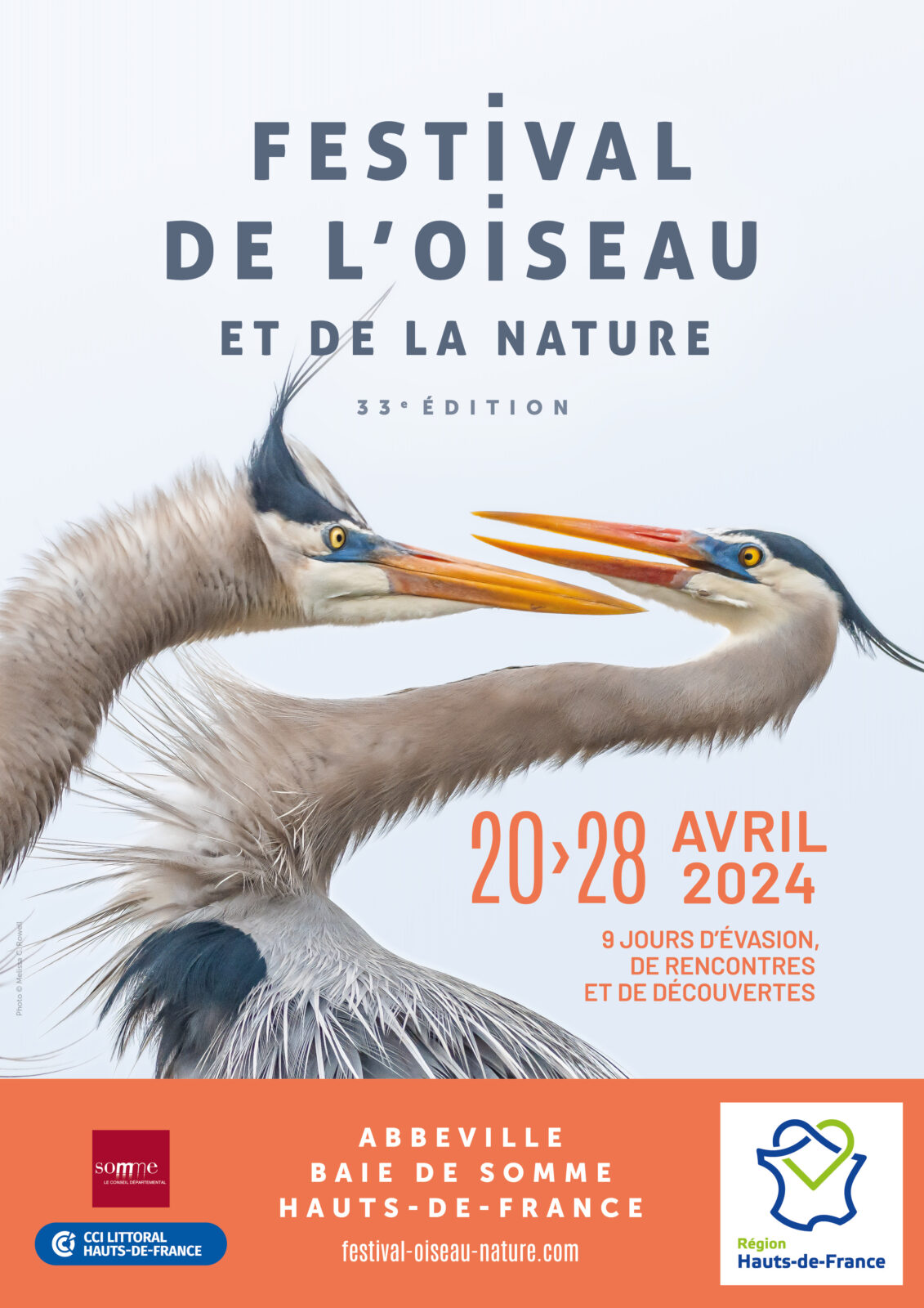 Affiche festival de l'oiseau 2024
