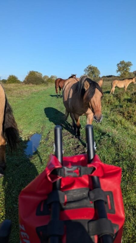 Agrandir l'image VTT et énigmes au cœur de la Vallée de Somme (image 4)