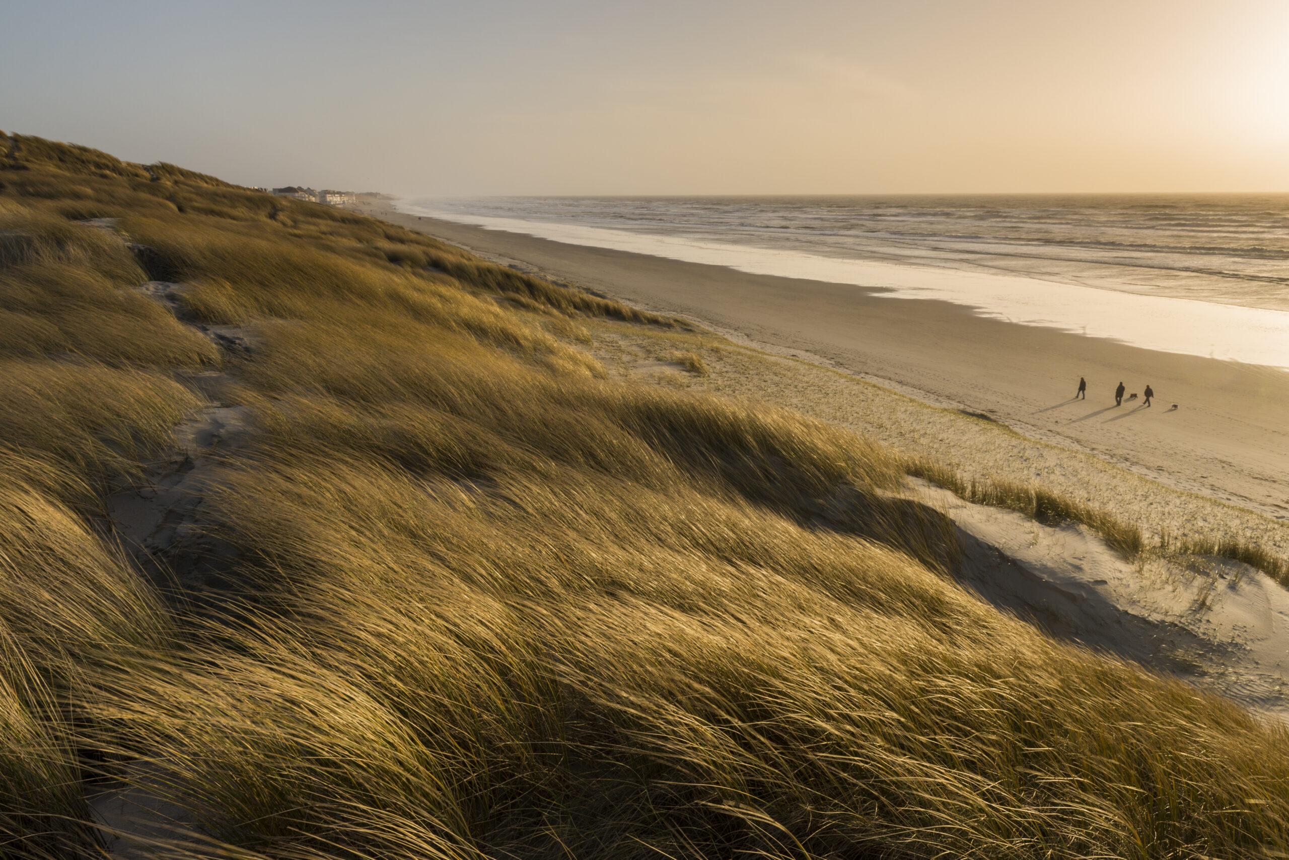 Les espaces naturels de la Baie de Somme - Parc du Marquenterre