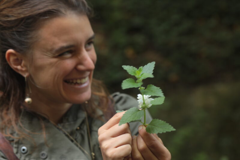Agrandir l'image Éveil des sens : récolte, cuisine et soirée au feu de bois (image 2)