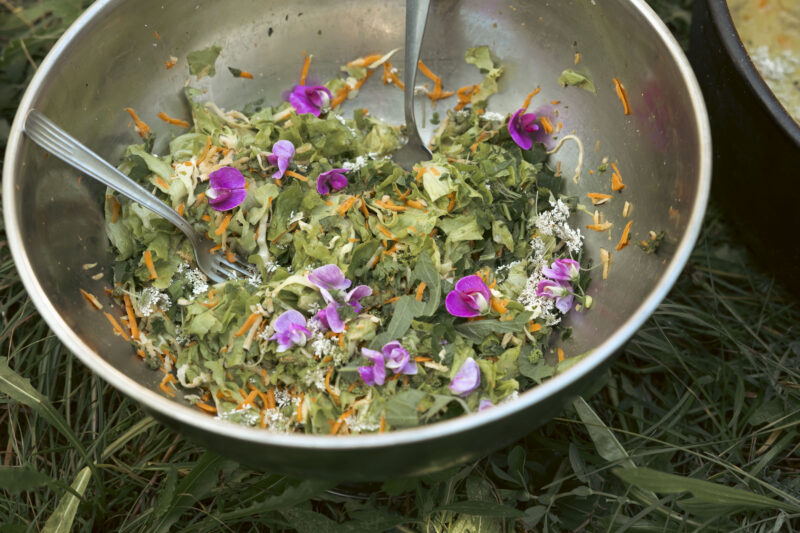 Agrandir l'image Éveil des sens : récolte, cuisine et soirée au feu de bois (image 5)