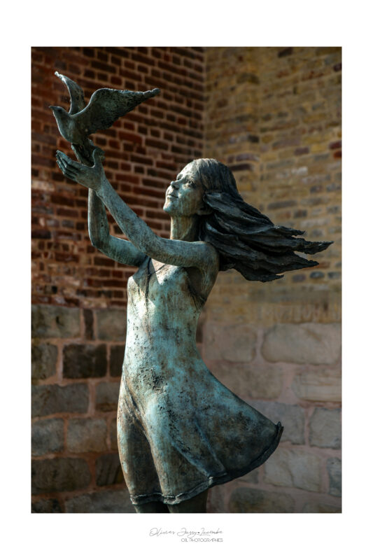 Agrandir l'image Lever du jour et découverte de Saint-Valery-sur-Somme (image 3)