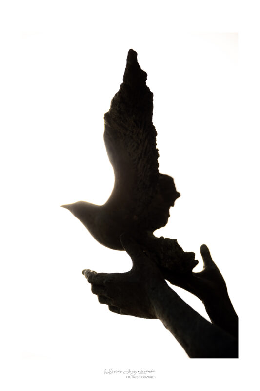 Agrandir l'image Lever du jour et découverte de Saint-Valery-sur-Somme (image 6)