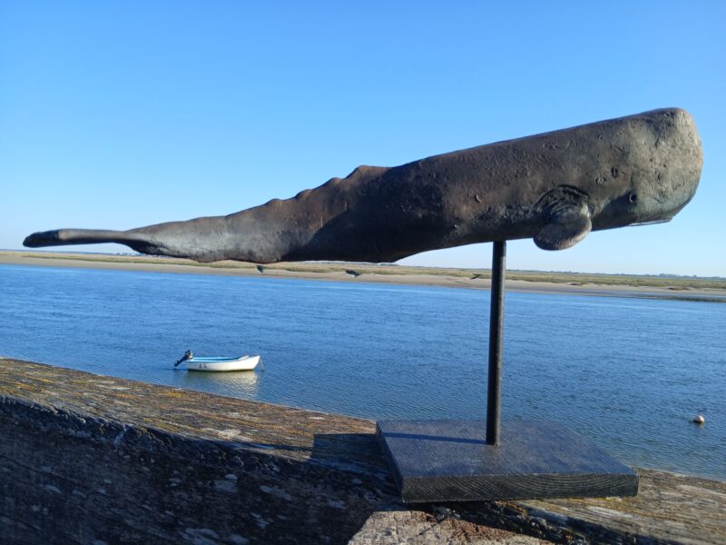 Agrandir l'image Instants sauvages en raku - TATAV (image 4)