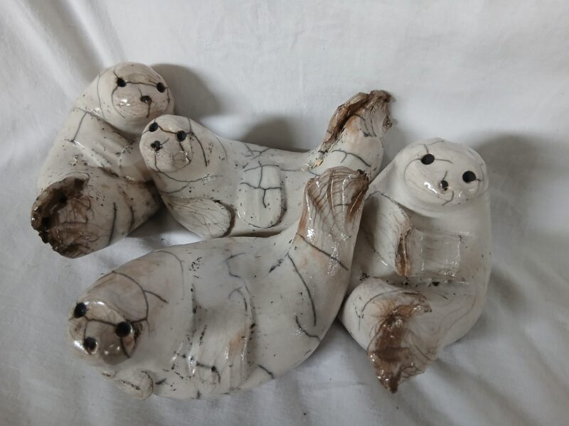 Agrandir l'image Instants sauvages en raku - TATAV (image 6)