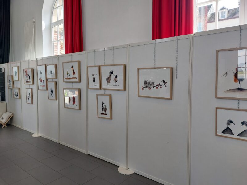 Agrandir l'image Plumus - Encre et plumes Elice Meng (image 6)