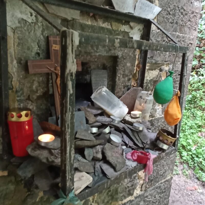 Agrandir l'image Oiseau Faisant, au fil de l'eau et du silence (image 11)