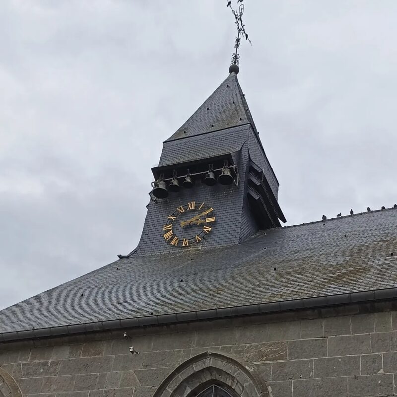 Agrandir l'image Oiseau Faisant, au fil de l'eau et du silence (image 5)