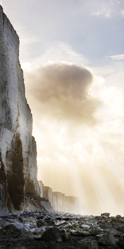 Agrandir l'image Aventure photo unique en baie de Somme (image 3)