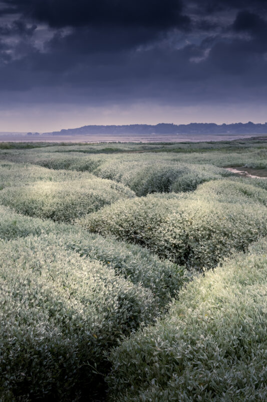 Agrandir l'image Aventure photo unique en baie de Somme (image 5)