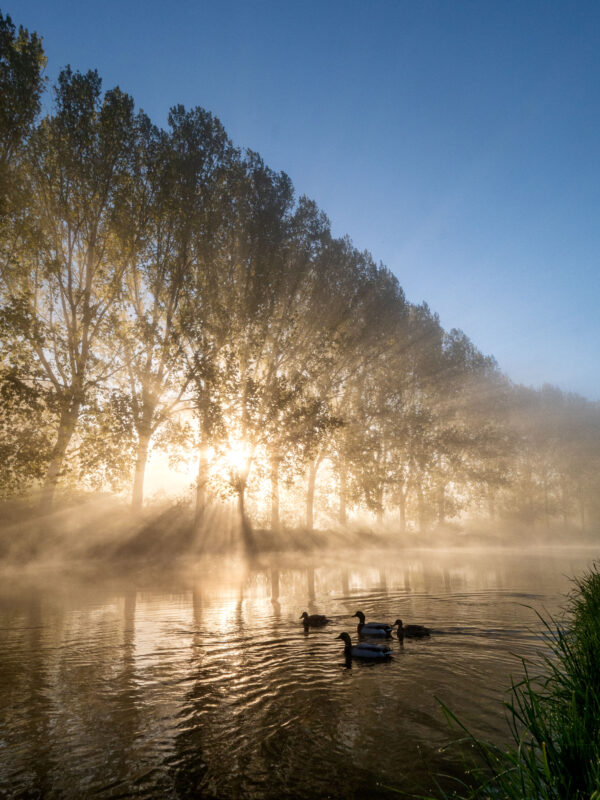 Agrandir l'image Aventure photo unique en baie de Somme (image 7)