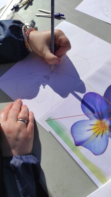 Agrandir l'image Illustration naturaliste : réalisez votre planche botanique (image 3)