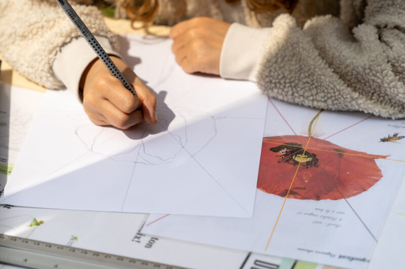 Agrandir l'image Illustration naturaliste : réalisez votre planche botanique (image 4)