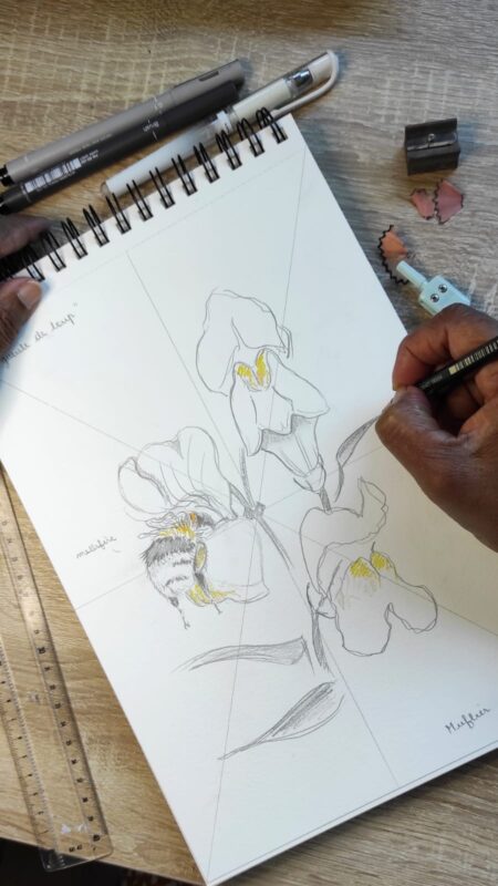 Agrandir l'image Illustration naturaliste : réalisez votre planche botanique (image 5)