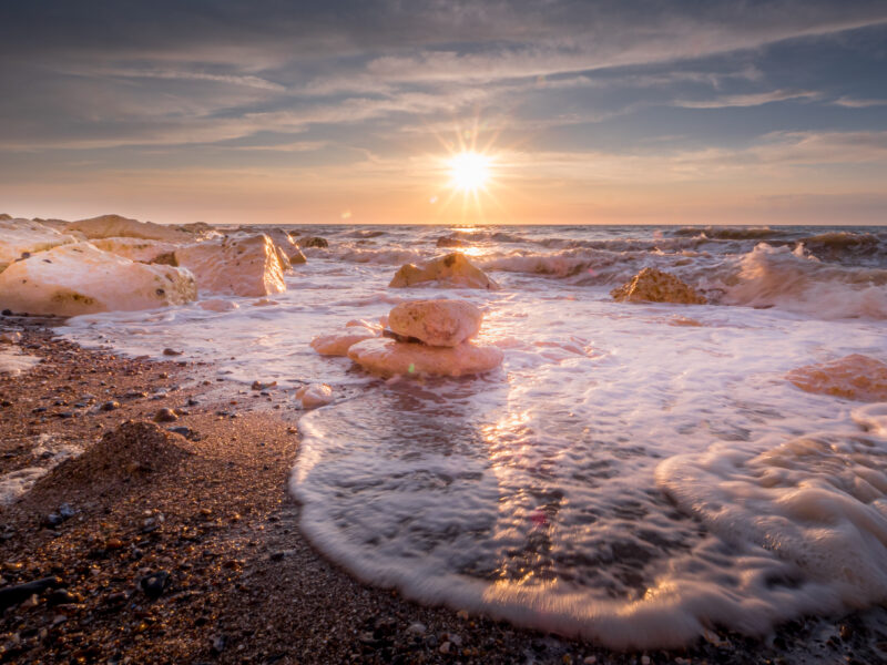 Agrandir l'image Aventure photo unique en baie de Somme (image 8)