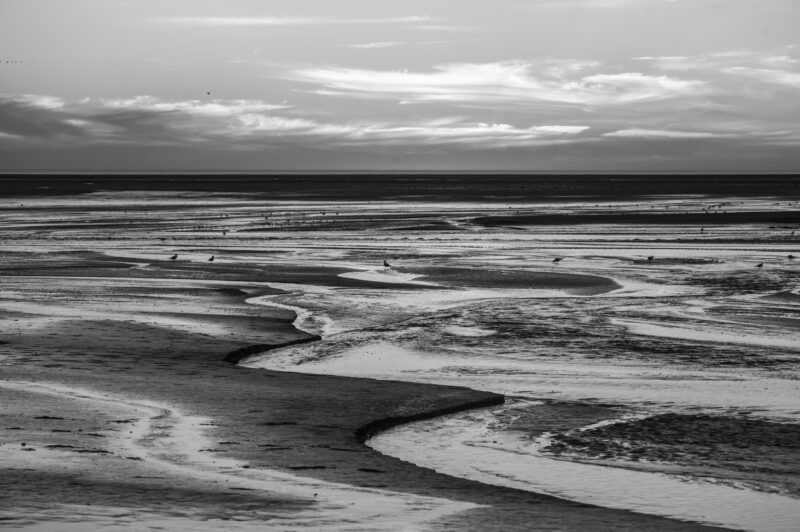 Agrandir l'image Aventure photo unique en baie de Somme (image 10)