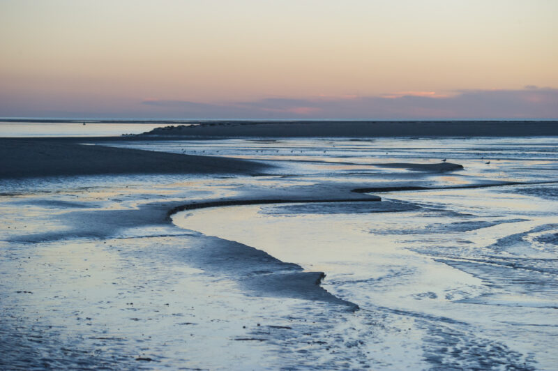 Agrandir l'image Aventure photo unique en baie de Somme (image 11)