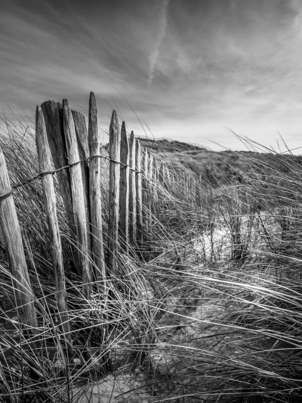 Agrandir l'image Aventure photo unique en baie de Somme (image 12)