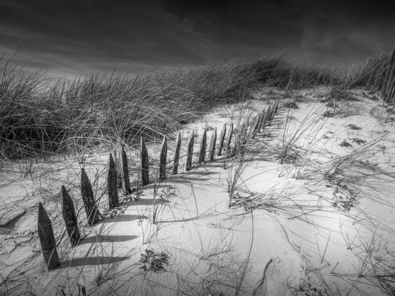 Agrandir l'image Aventure photo unique en baie de Somme (image 13)