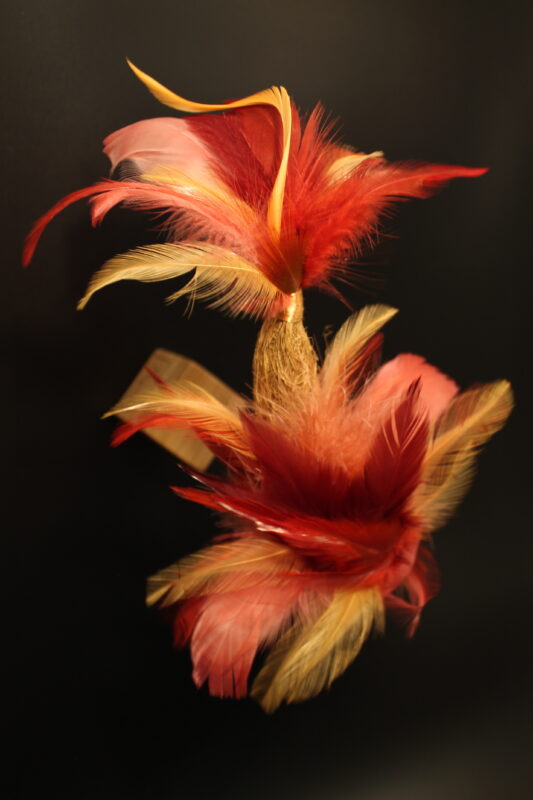 Agrandir l'image Souffle de plumes - Sylvie Châtillon (image 6)