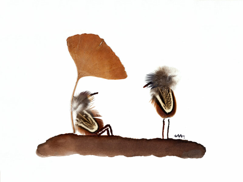 Agrandir l'image Plumus - Encre et plumes Elice Meng (image 2)