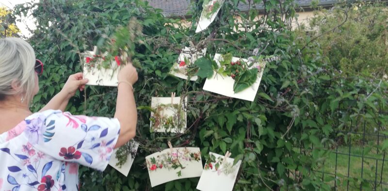 Agrandir l'image Oiseau Faisant, au fil de l'eau et du silence (image 7)