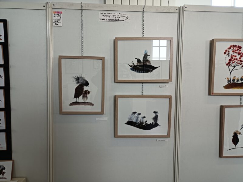 Agrandir l'image Plumus - Encre et plumes Elice Meng (image 5)