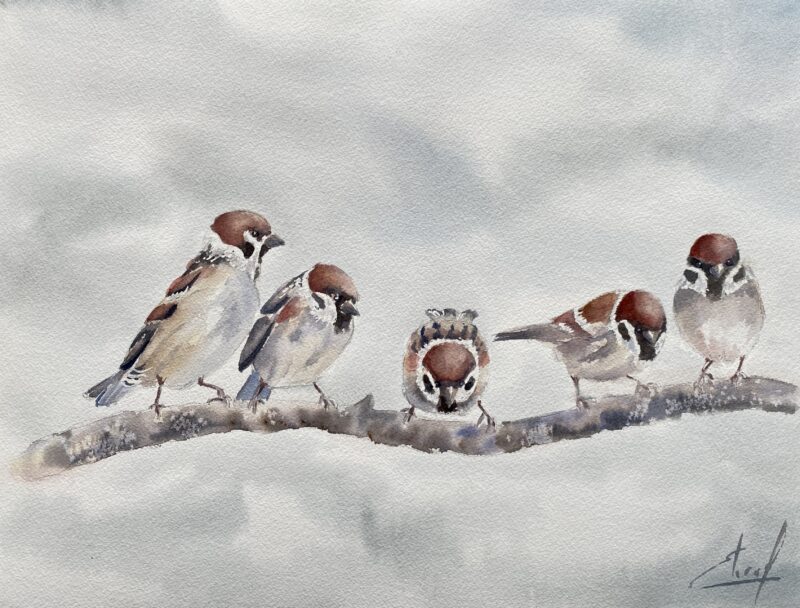 Agrandir l'image Éclats de Baie - Aquarelles Evelyne Leroy (image 5)